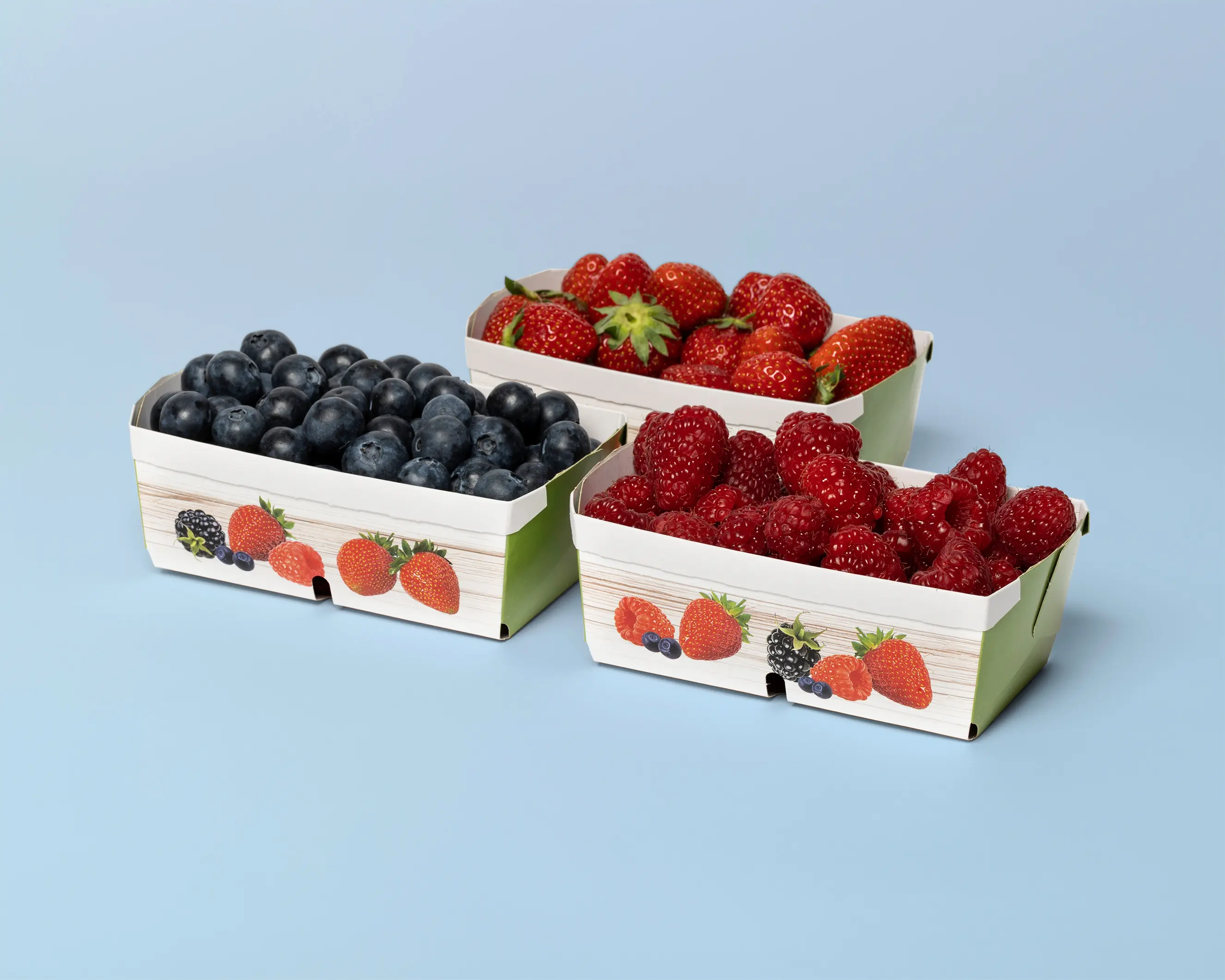 Beerenschale, drei Schalen mit 250g gefüllt mit Heidelbeeren, Erdbeeren, Himbeeren, blauer Hintergrund