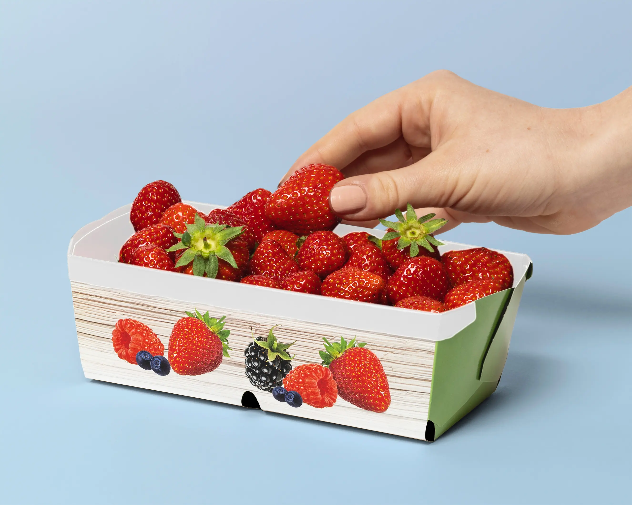 Beerenschale, 500g gefüllt mit Erdbeeren, blauer Hintergrund