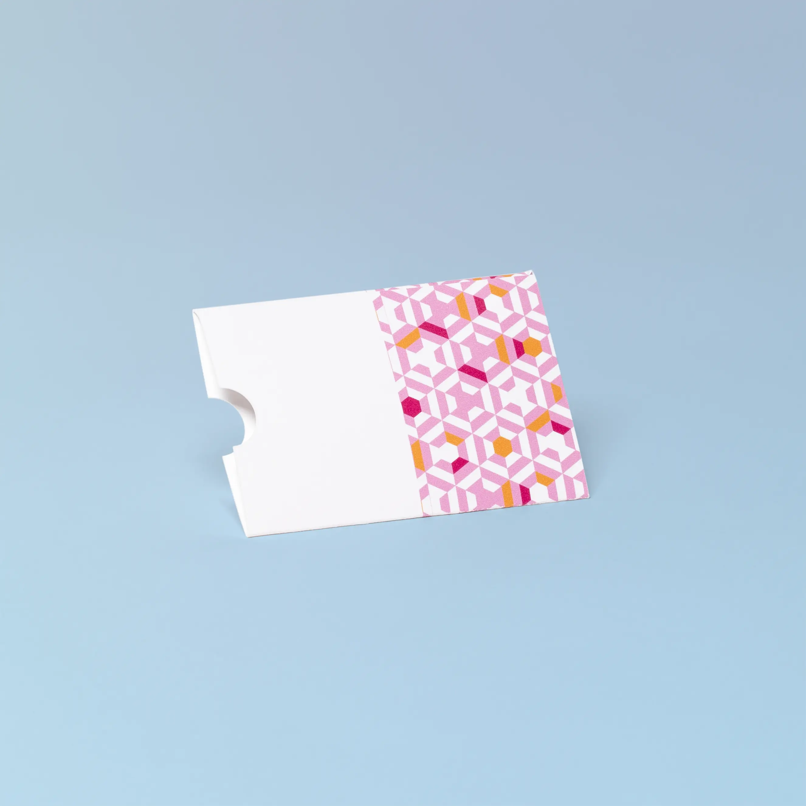 Kartenhülle ohne Verschluss, von hinten, blauer Hintergrund