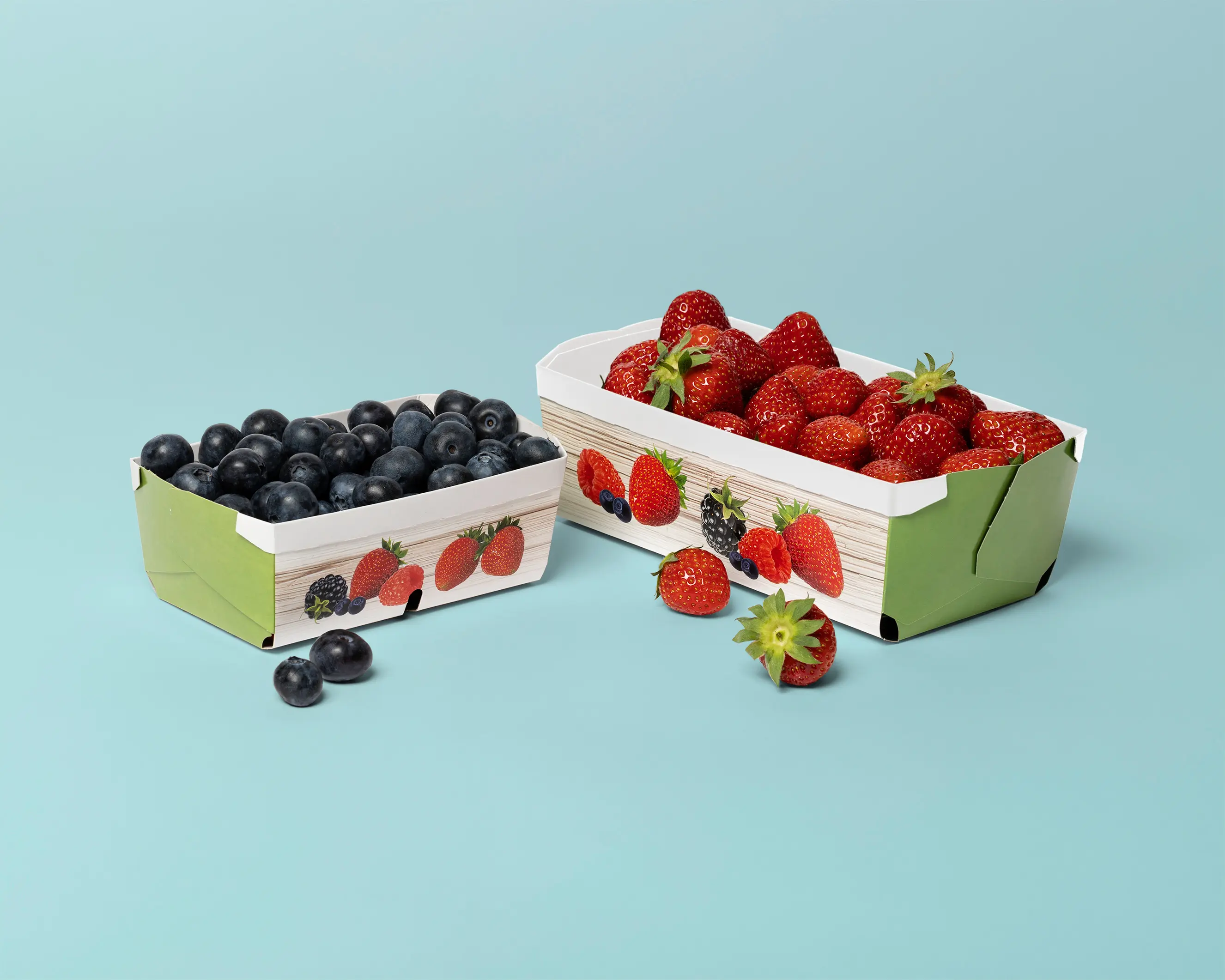 Beerenschale, 250g gefüllt mit Heidelbeeren, 500g gefüllt mit Erdbeeren, grüner Hintergrund