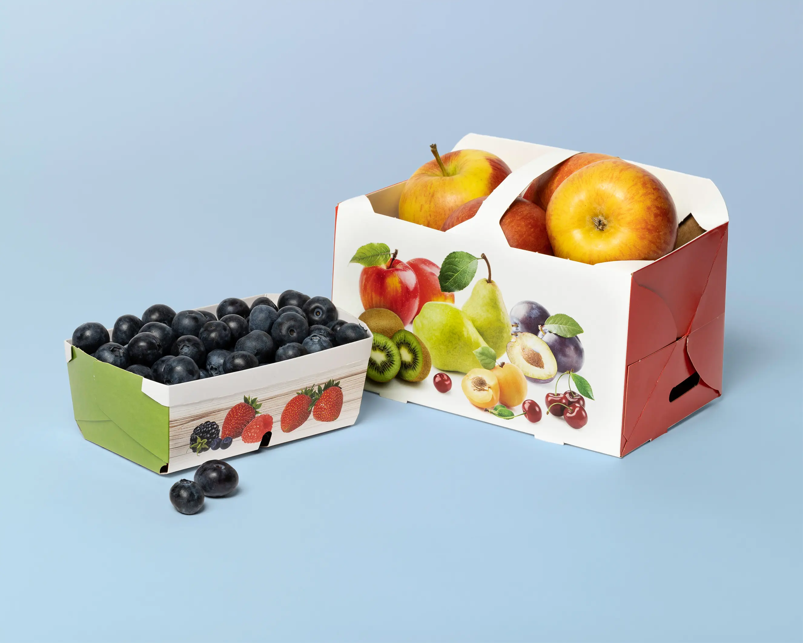 Tragekörbe & Beerenschalen aus Karton: Frische Produkte nachhaltig verpacken und  attraktiv präsentieren